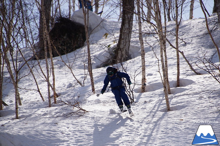 DYNASTAR SKI series Test Ride Days 2017 in ニセコユナイテッド【Day.2】～ニセコグラン・ヒラフ～